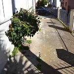 Zia Peppina * Tertenìa