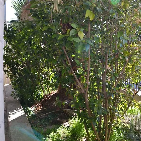 Zia Peppina בית נופש Tertenìa